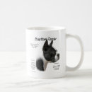 Recherche de bull dog tasses Chien