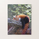Suche nach panda puzzle Spaß