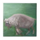 Suche nach büffel fliesen Tier