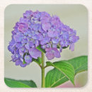Suche nach purpur untersetzer Blume