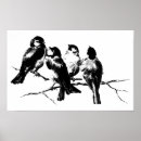 Suche nach flaumig poster Vögel