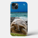 Recherche de de tortue de mer coques Arrière plan