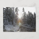 Suche nach schneebedeckte bäume postkarten Horizontal