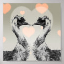 Suche nach emus poster Australien