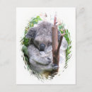 Suche nach koalabär einladungen Australisch