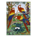 Suche nach macaws Natur