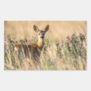 Suche nach großes gras aufkleber Natur