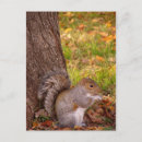 Recherche de fermeture cartes postales Mignon