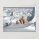 Recherche de ours arctique cartes postales Paysage
