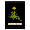 Suche nach altmodisch kunst Blume