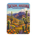 Suche nach tucson magnete Saguaro