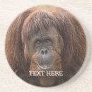 Suche nach orang utans untersetzer Affe