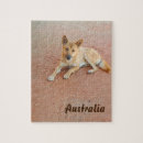 Suche nach dingo Australisch