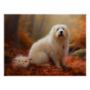 Recherche de coton de tulear art Chien