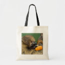 Suche nach abstand taschen Tierwelt