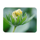 Recherche de ouvert magnets Botanique