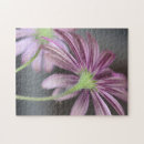 Recherche de rayure florale photographie Nature