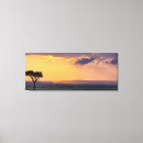 Suche nach schattenbild poster Baum
