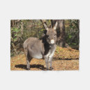 Recherche de position photographie Nature