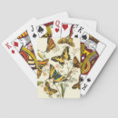 Recherche de insectes jeux de cartes Ailes
