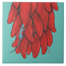 Recherche de lézard carreaux Sud ouest