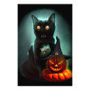 Recherche de mauvais chat posters Citrouille