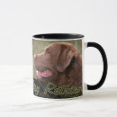 Suche nach chessie tassen Retriever