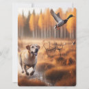 Suche nach entenjagd karten Labrador