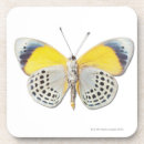 Recherche de assez photographie Nature