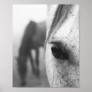 Recherche de oeil de cheval photographie Pour tous