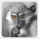 Suche nach monkey aufkleber Niedlicher affe