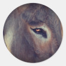 Suche nach esel aufkleber Landwirtschaft