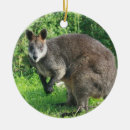 Recherche de kangourou australien ornements Marsupial