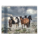 Suche nach horses kalender Equine