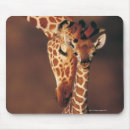 Recherche de adulte tapis souris Amour