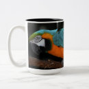 Recherche de ara tasses Oiseau