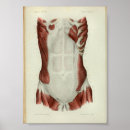 Suche nach bruster poster Vintag
