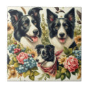 Suche nach collie fliesen Welpe