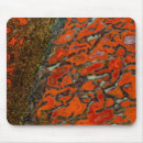 Suche nach versteinertes mousepads Darrell gulin