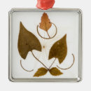 Suche nach einfache blumen ornamente Natur