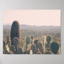 Recherche de cactus posters Désert
