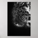 Recherche de le face posters Faune