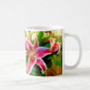 Suche nach stargazerlilie Lilien