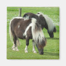 Suche nach ponys magnete Bauernhof