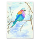 Recherche de poitrine art Aquarelle