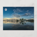 Suche nach schönheit in der natur postkarten Pflanze