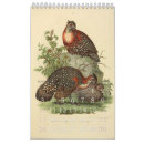 Suche nach vintage illustrationen kalender Vogel