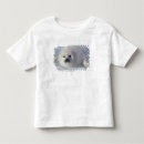 Recherche de phoque de harpé tshirts Phoque à harpe