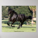 Suche nach friesian poster Friesisch