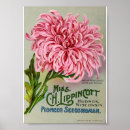 Suche nach seed poster Advertising
